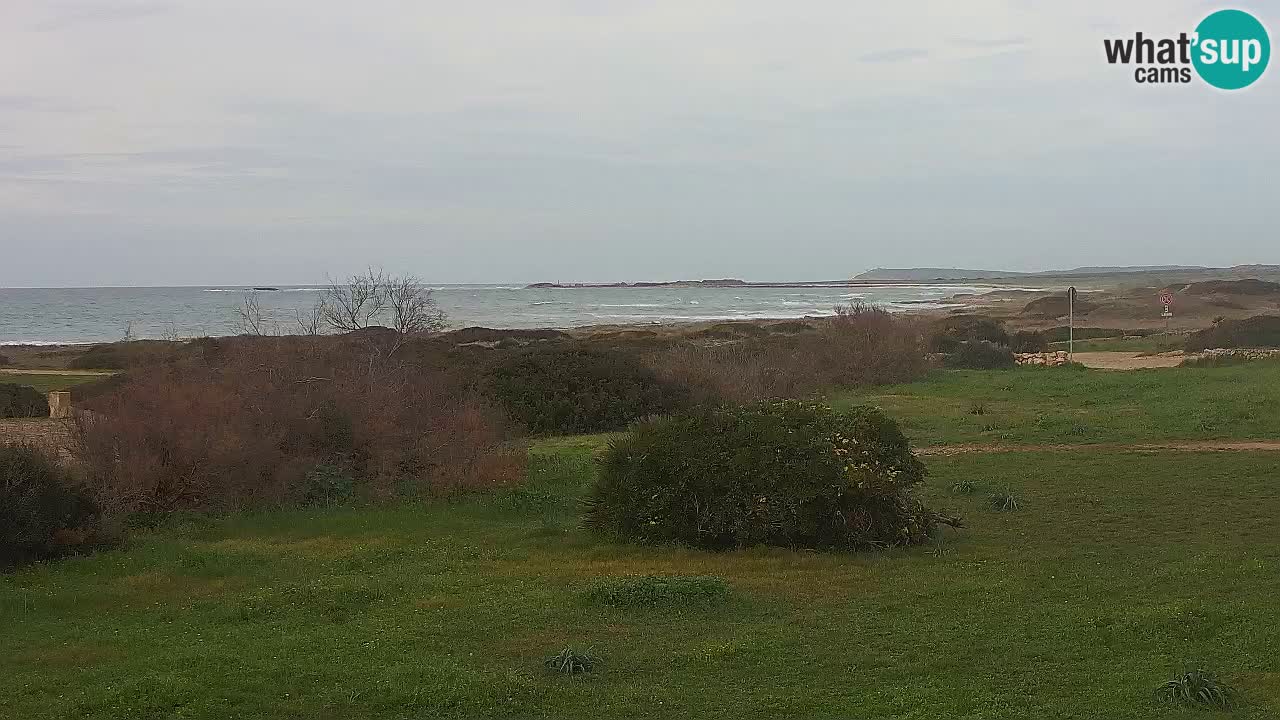 Mari Ermi Strand | Is Arutas – Oristano