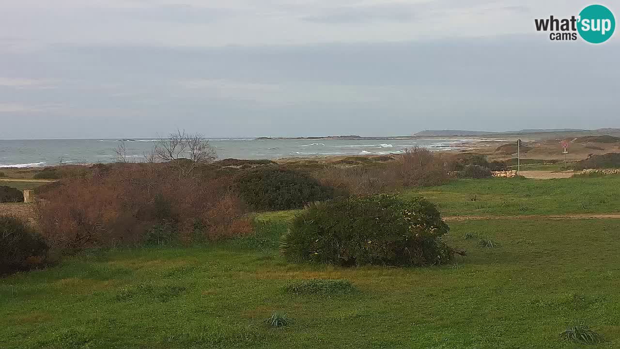 Spiaggia Mari Ermi | Is Arutas – Oristano