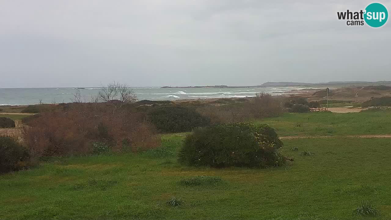 Plaža Mari Ermi | Is Arutas – Oristano