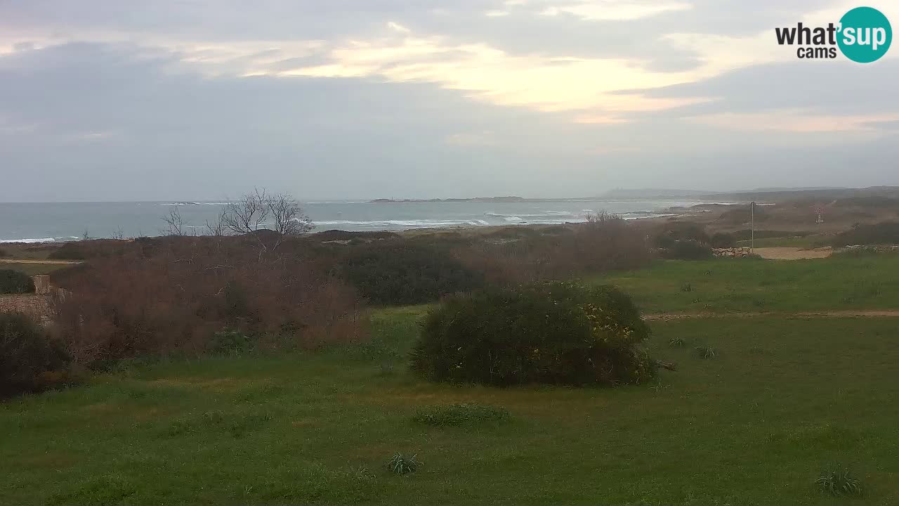 Mari Ermi Strand | Is Arutas – Oristano