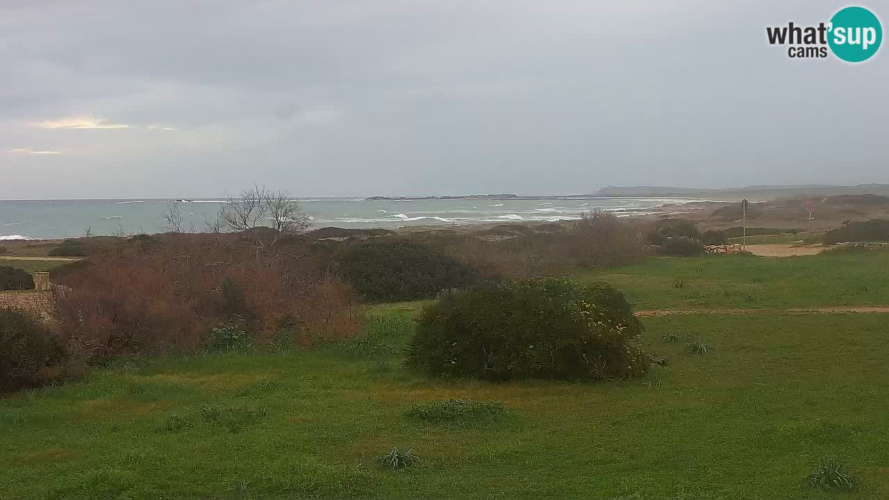Spiaggia Mari Ermi | Is Arutas – Oristano