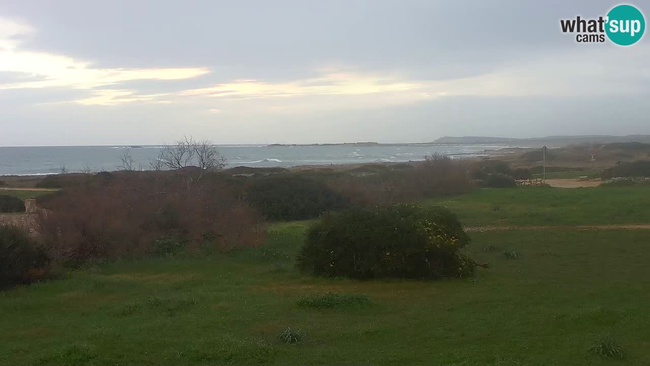 Plaža Mari Ermi | Is Arutas – Oristano