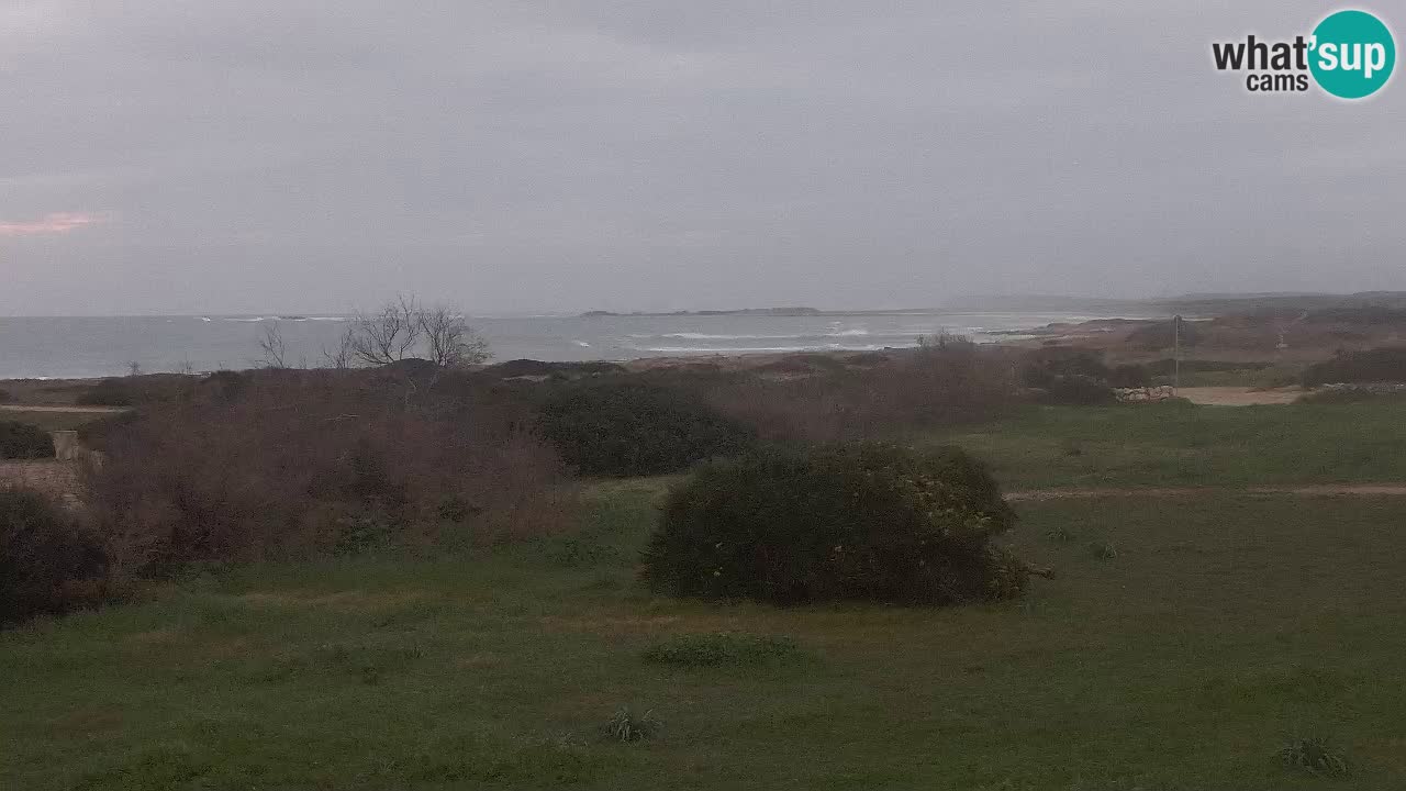 Mari Ermi Strand | Is Arutas – Oristano