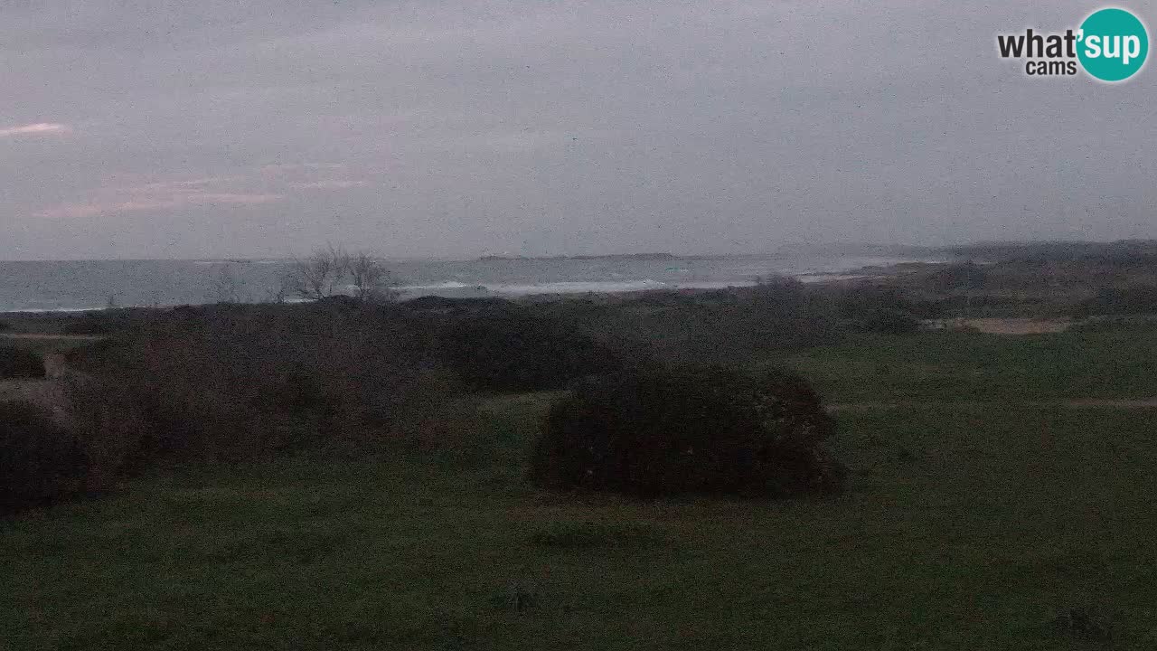 Mari Ermi Strand | Is Arutas – Oristano