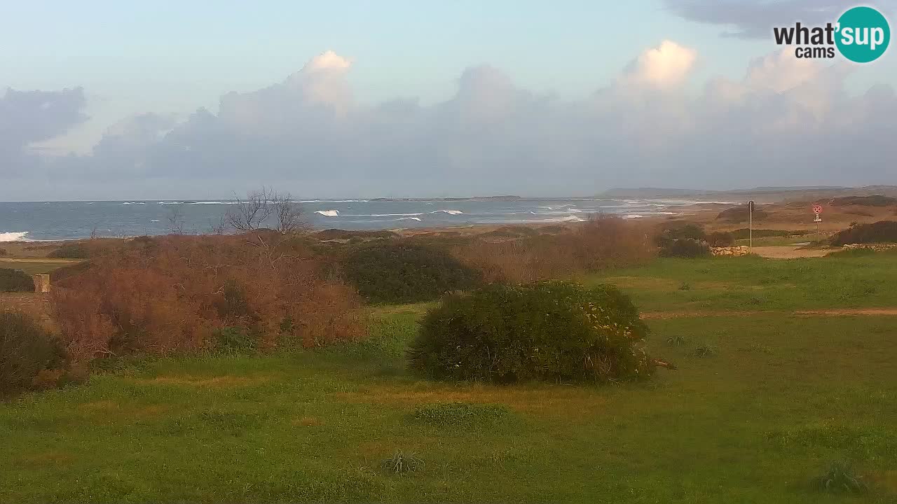 Playa Mari Ermi | Is Arutas – Oristano