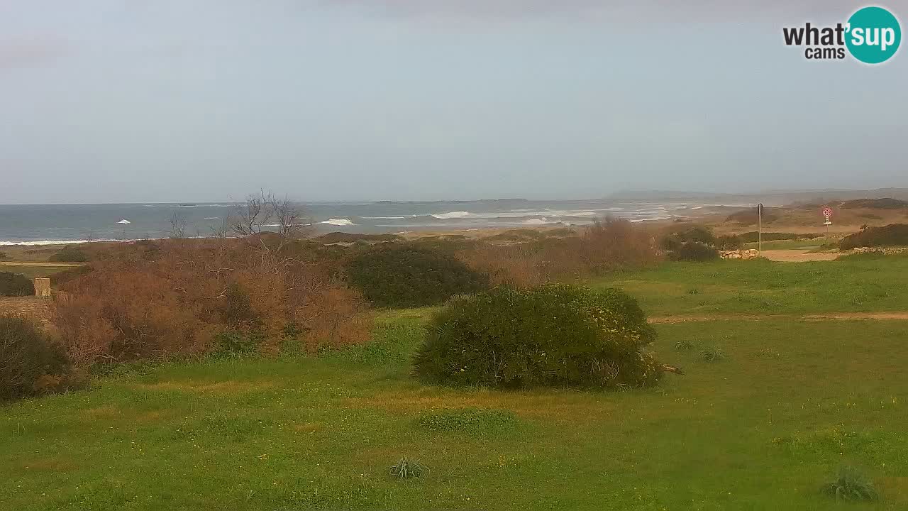 Mari Ermi Strand | Is Arutas – Oristano