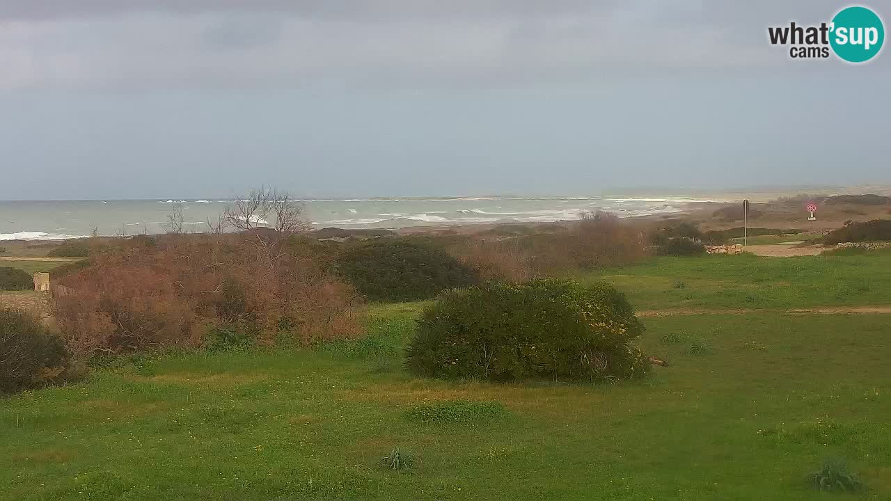 Plaža Mari Ermi | Is Arutas – Oristano