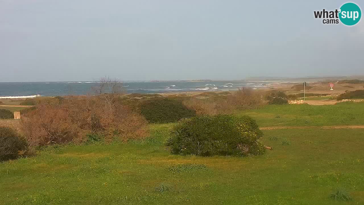 Plage Mari Ermi | Is Arutas – Oristano