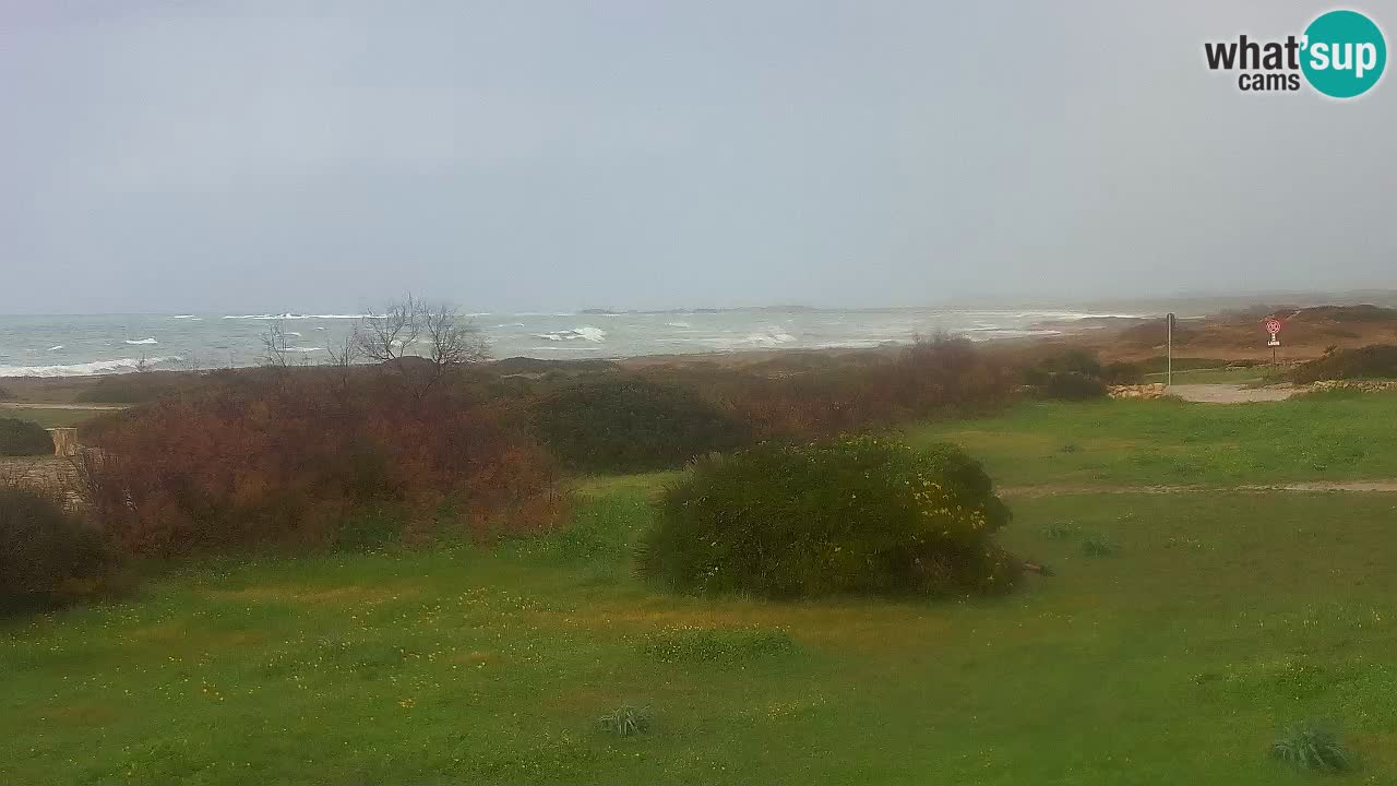 Plaža Mari Ermi | Is Arutas – Oristano