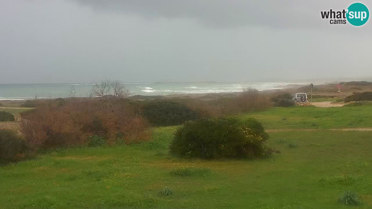 Playa Mari Ermi | Is Arutas – Oristano