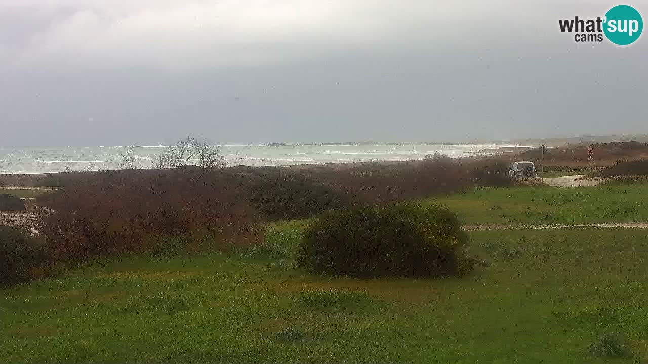 Mari Ermi Strand | Is Arutas – Oristano