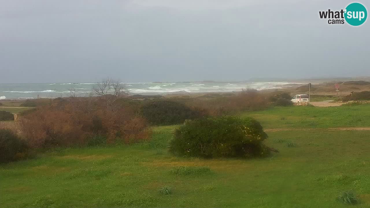 Plaža Mari Ermi | Is Arutas – Oristano