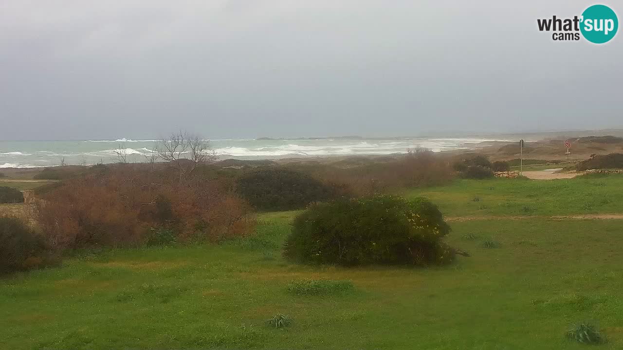 Spiaggia Mari Ermi | Is Arutas – Oristano