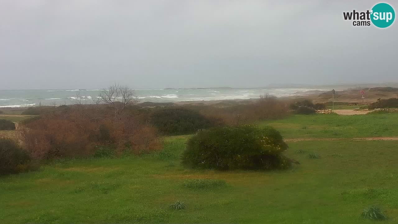 Plaža Mari Ermi | Is Arutas – Oristano