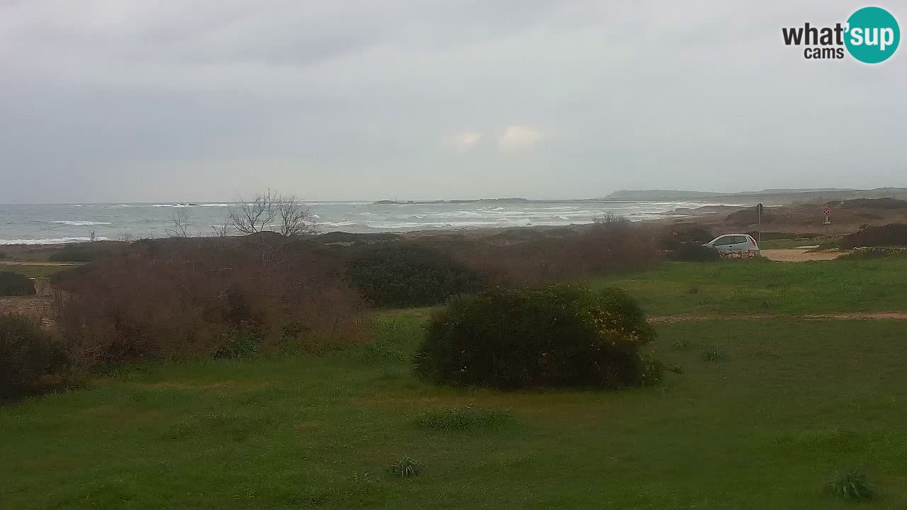 Spiaggia Mari Ermi | Is Arutas – Oristano