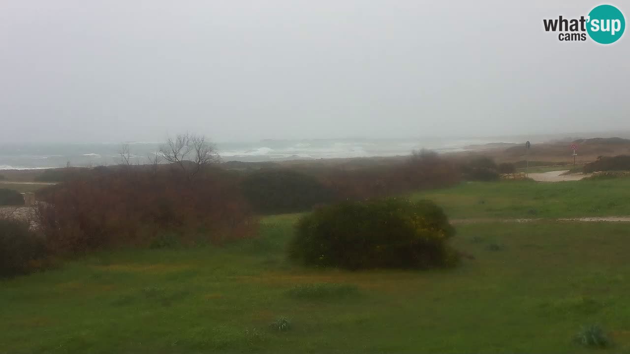 Playa Mari Ermi | Is Arutas – Oristano