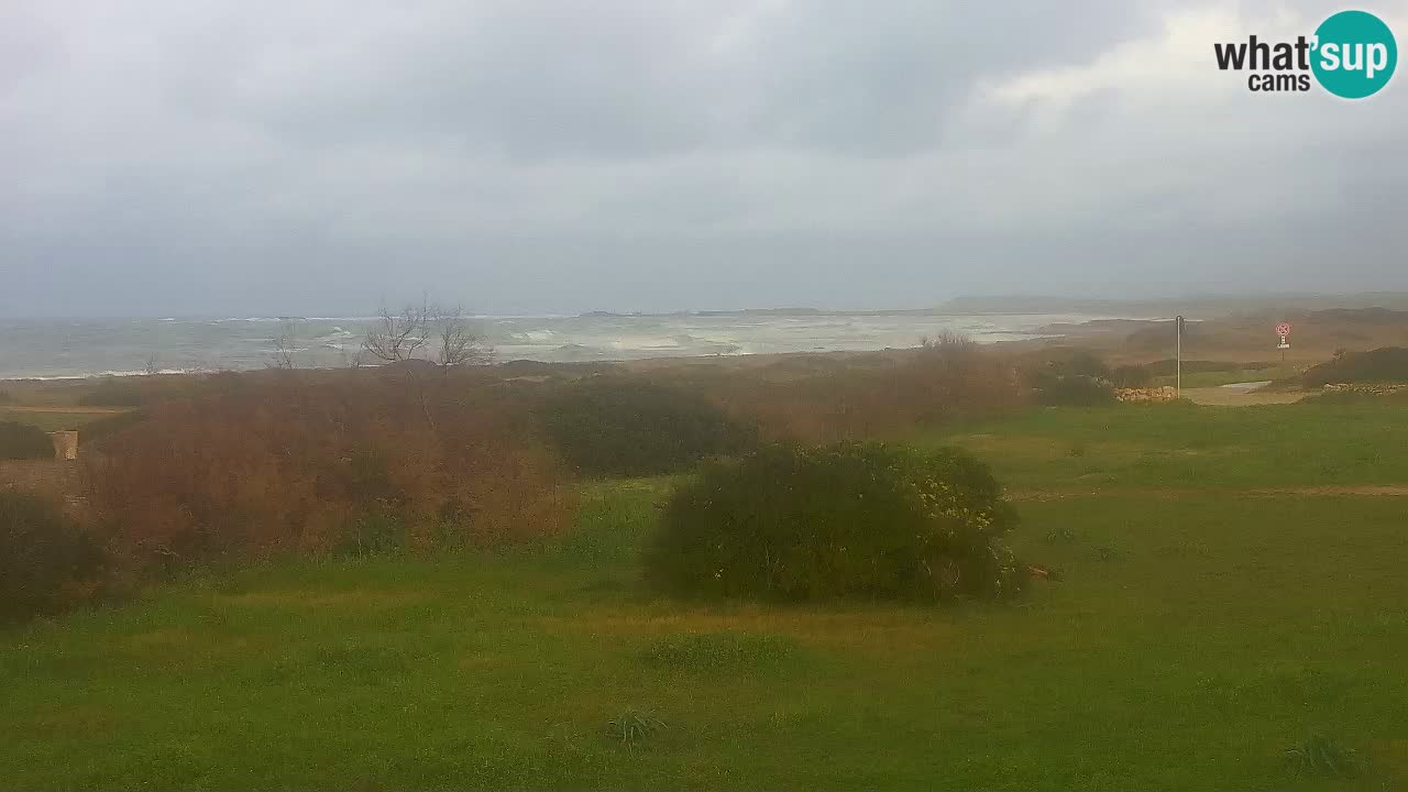 Mari Ermi Strand | Is Arutas – Oristano