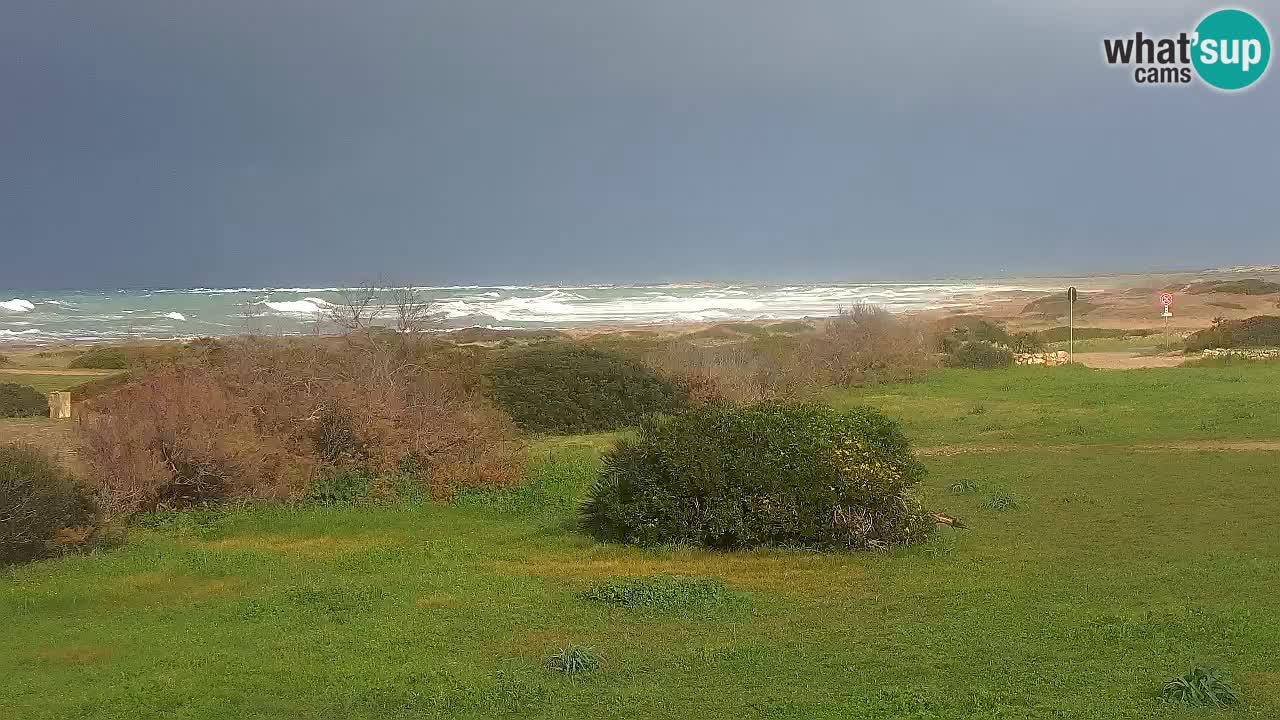 Mari Ermi Strand | Is Arutas – Oristano
