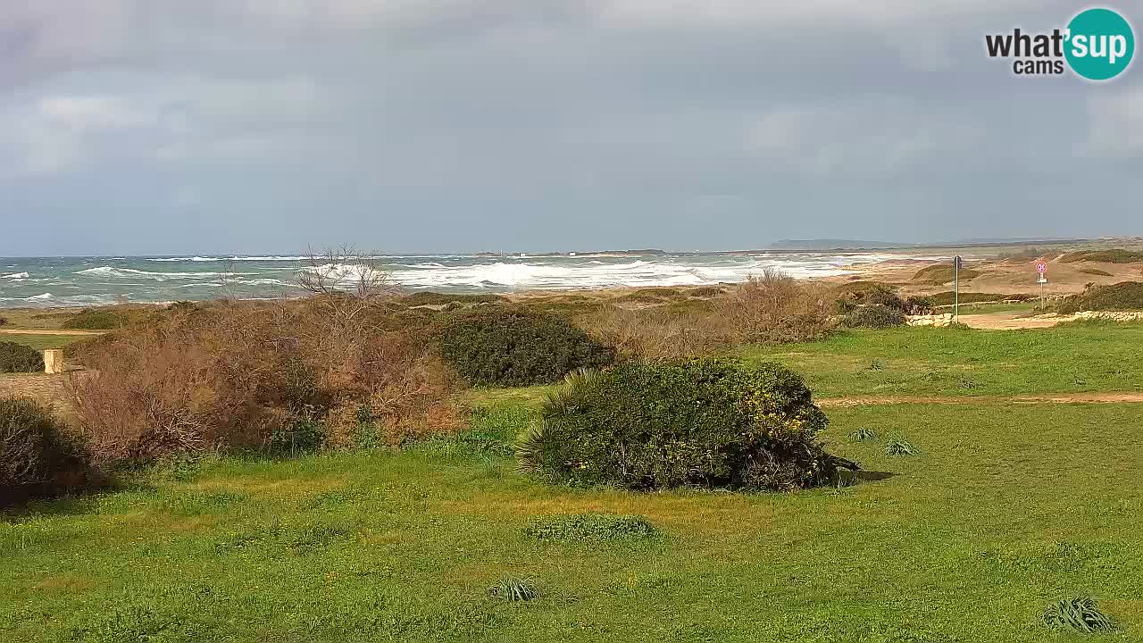 Mari Ermi beach | Is Arutas – Oristano