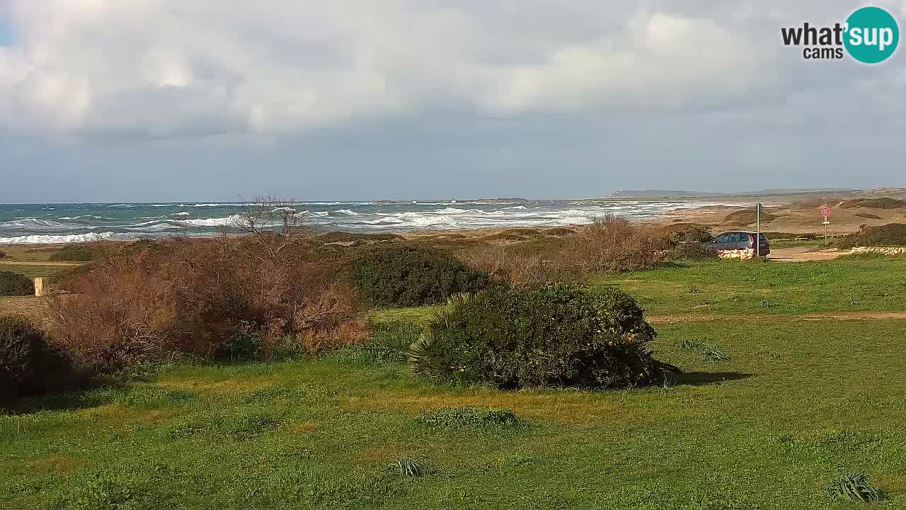 Mari Ermi Strand | Is Arutas – Oristano