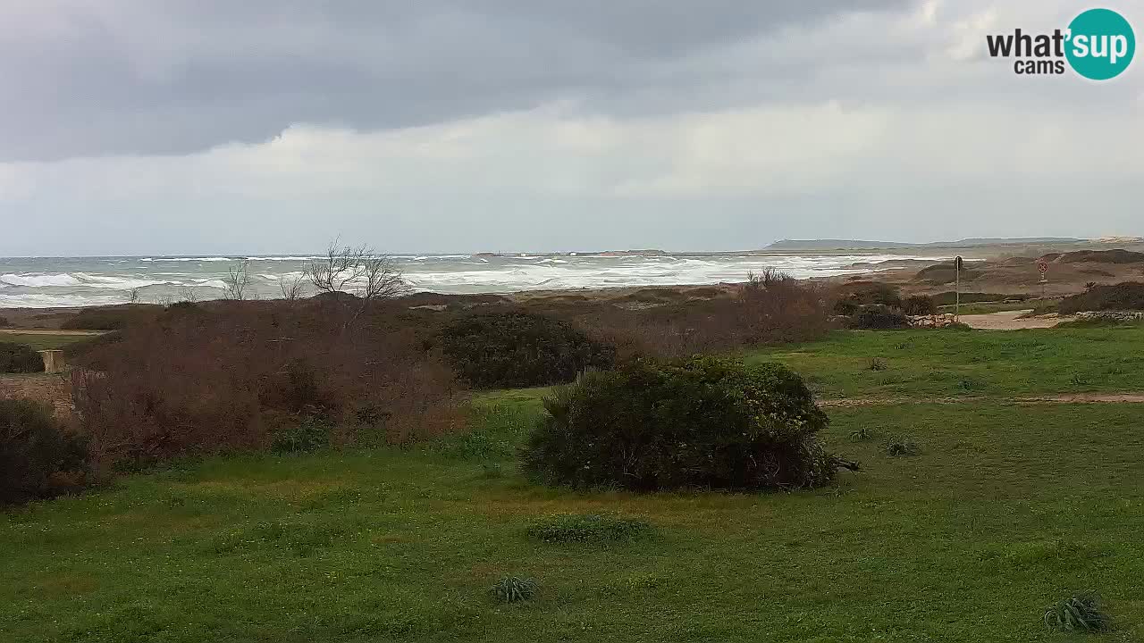 Plaža Mari Ermi | Is Arutas – Oristano