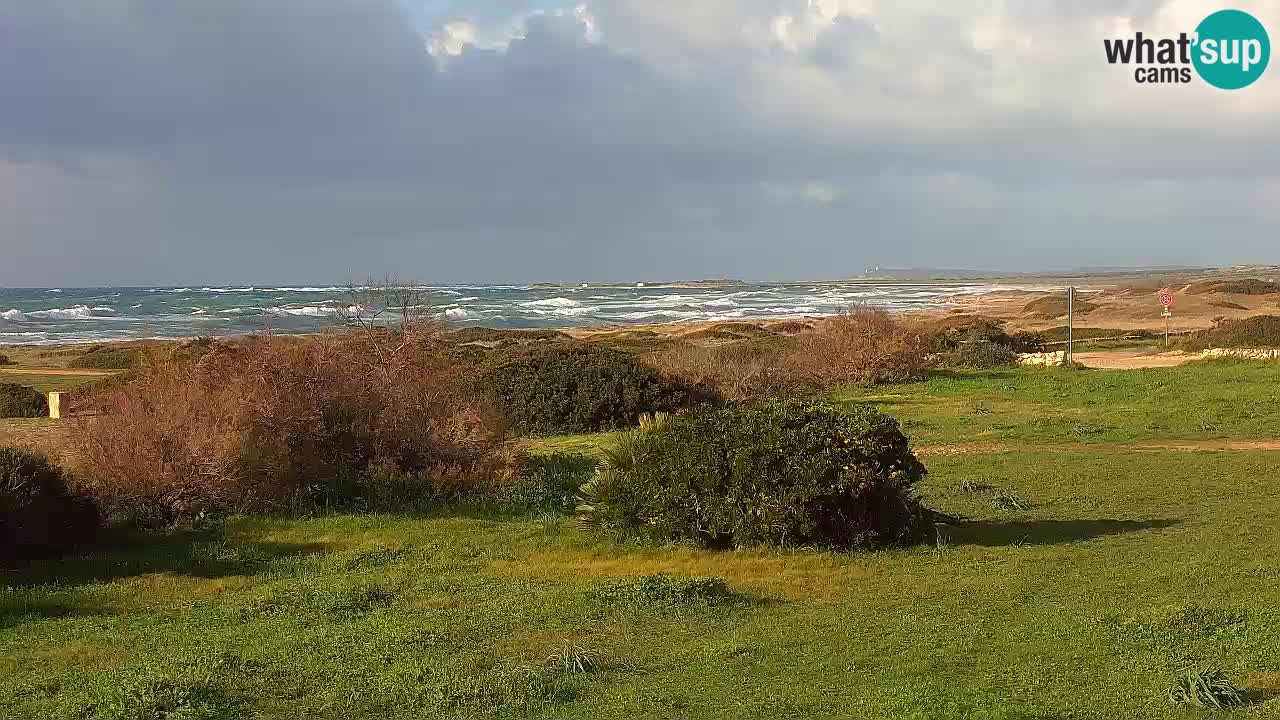 Plage Mari Ermi | Is Arutas – Oristano