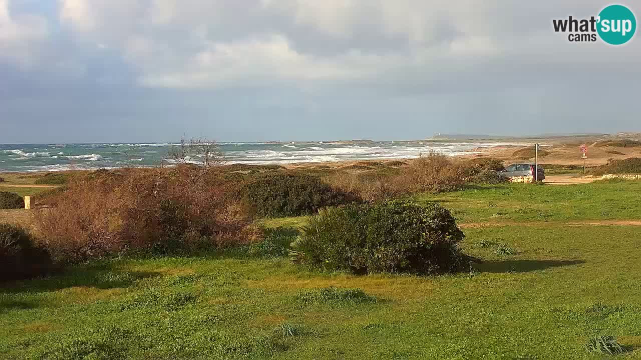 Plaža Mari Ermi | Is Arutas – Oristano