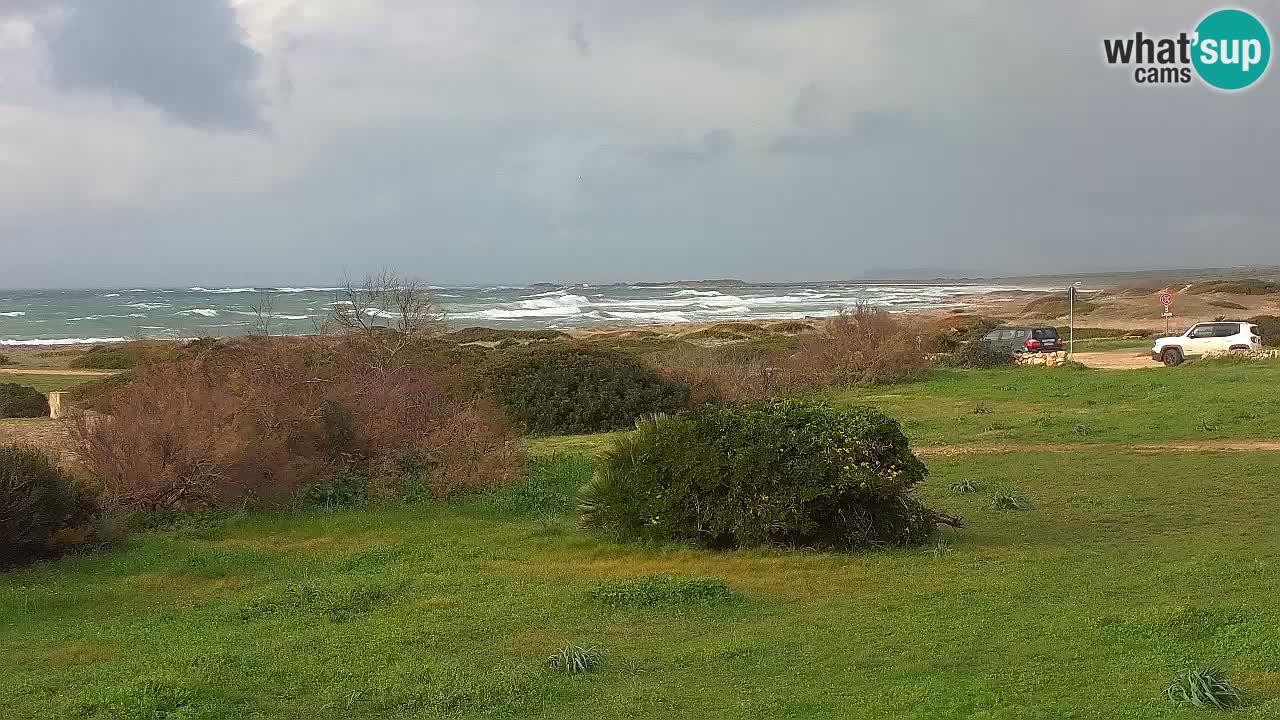 Mari Ermi Strand | Is Arutas – Oristano