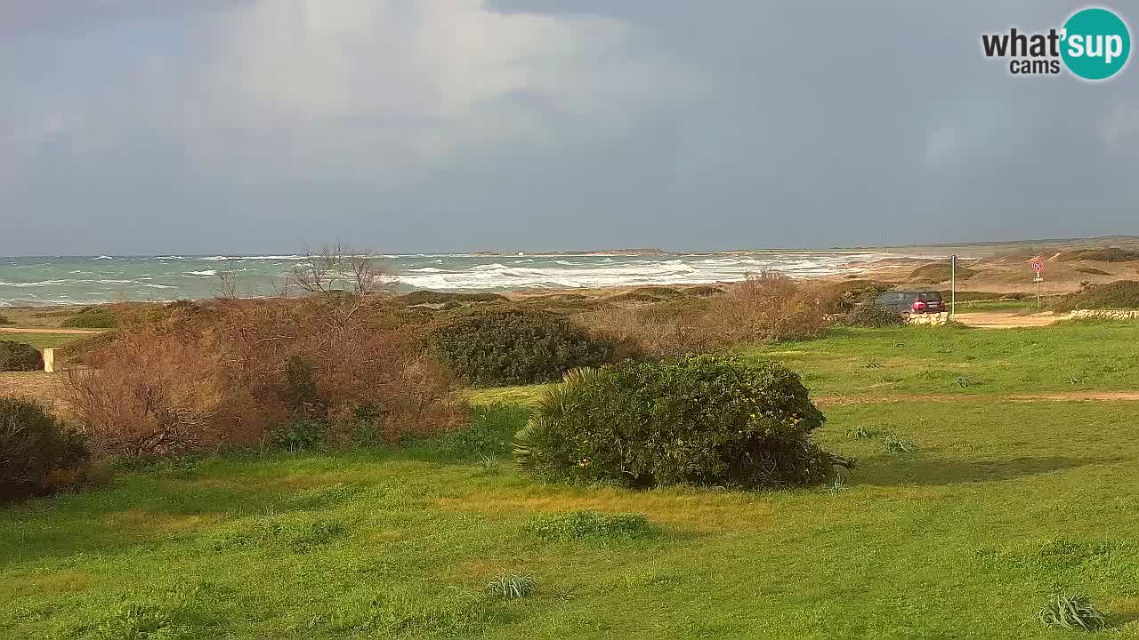 Plaža Mari Ermi | Is Arutas – Oristano