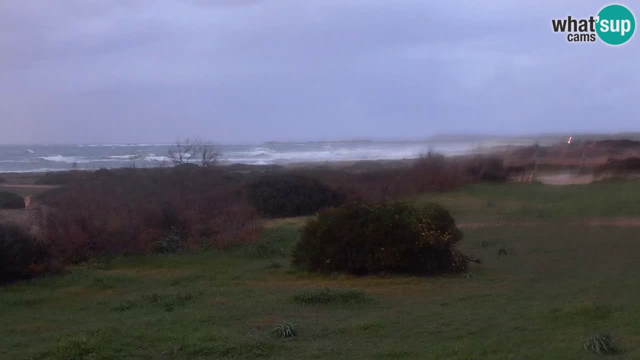 Plage Mari Ermi | Is Arutas – Oristano