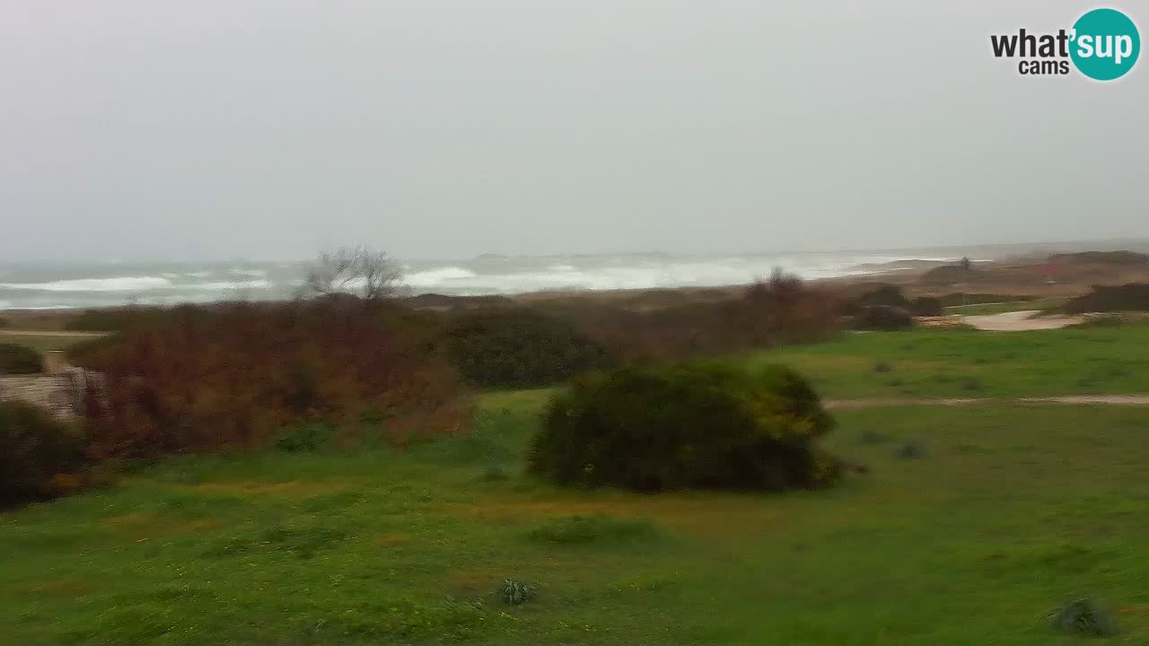 Mari Ermi Strand | Is Arutas – Oristano