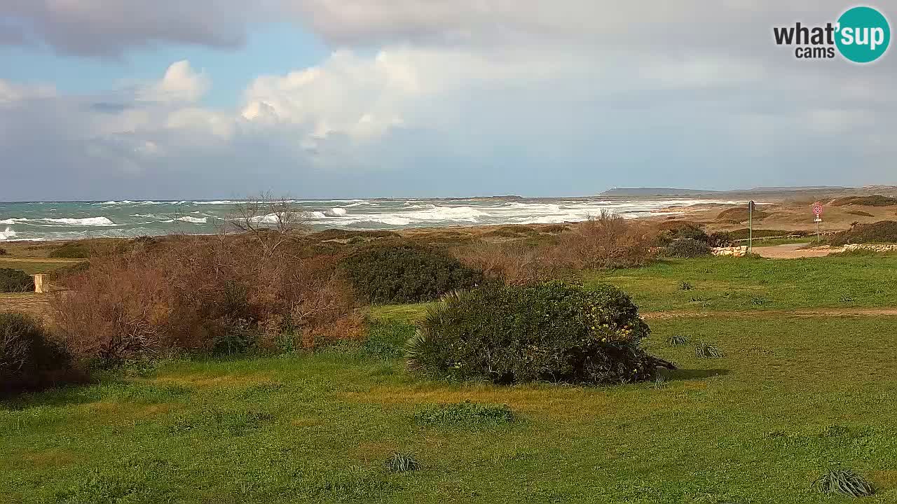 Mari Ermi Strand | Is Arutas – Oristano