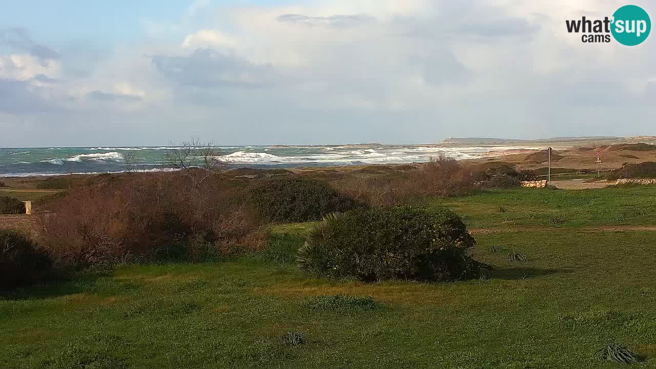 Plaža Mari Ermi | Is Arutas – Oristano