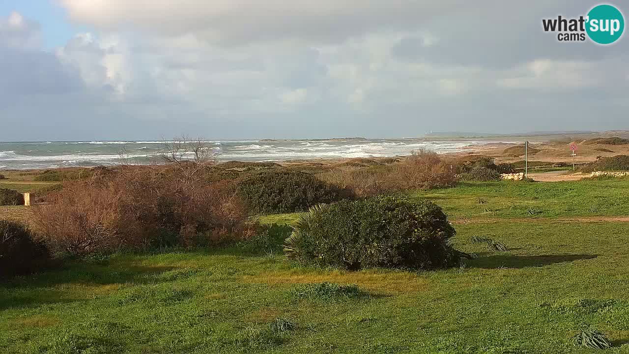 Mari Ermi beach | Is Arutas – Oristano