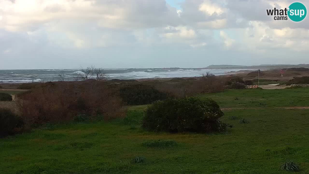 Spiaggia Mari Ermi | Is Arutas – Oristano
