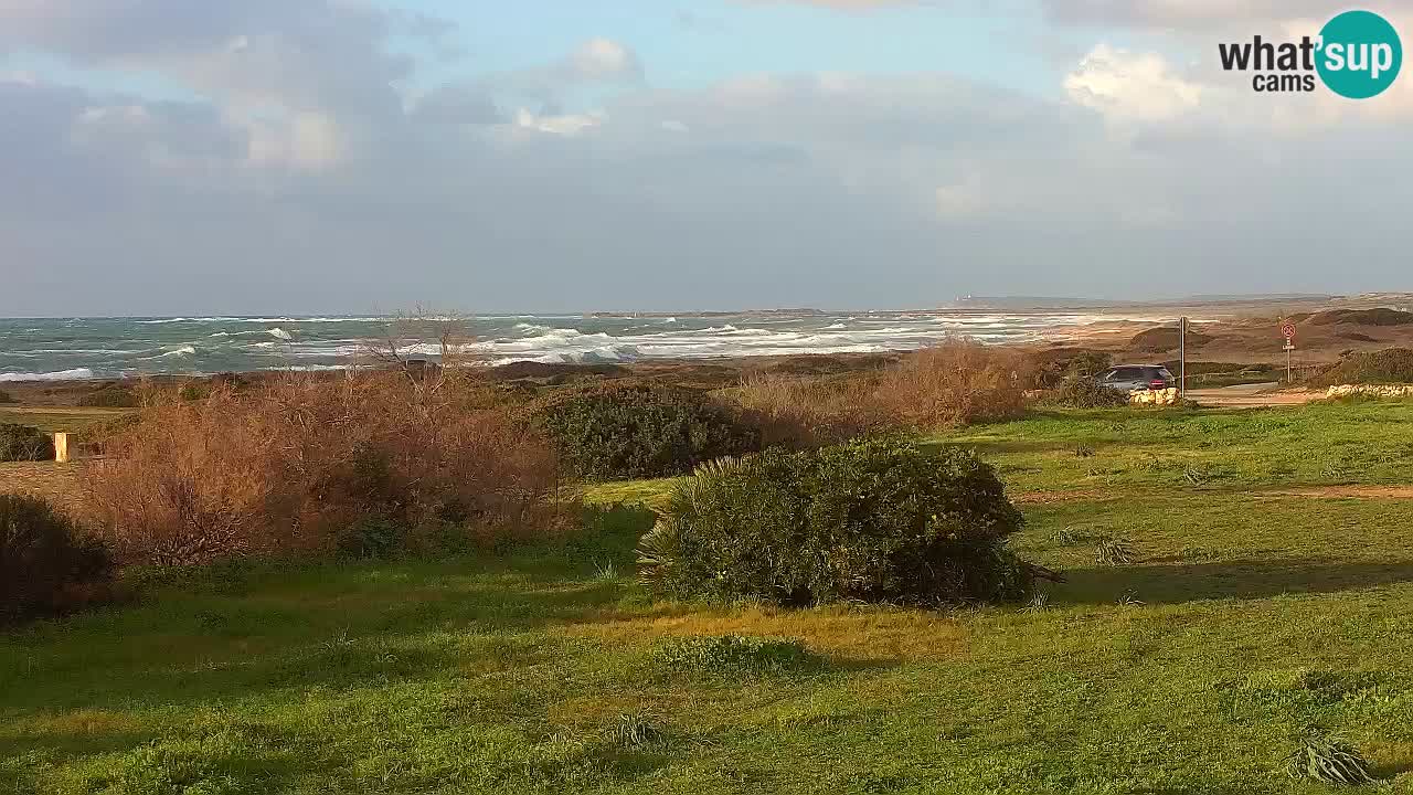 Plaža Mari Ermi | Is Arutas – Oristano