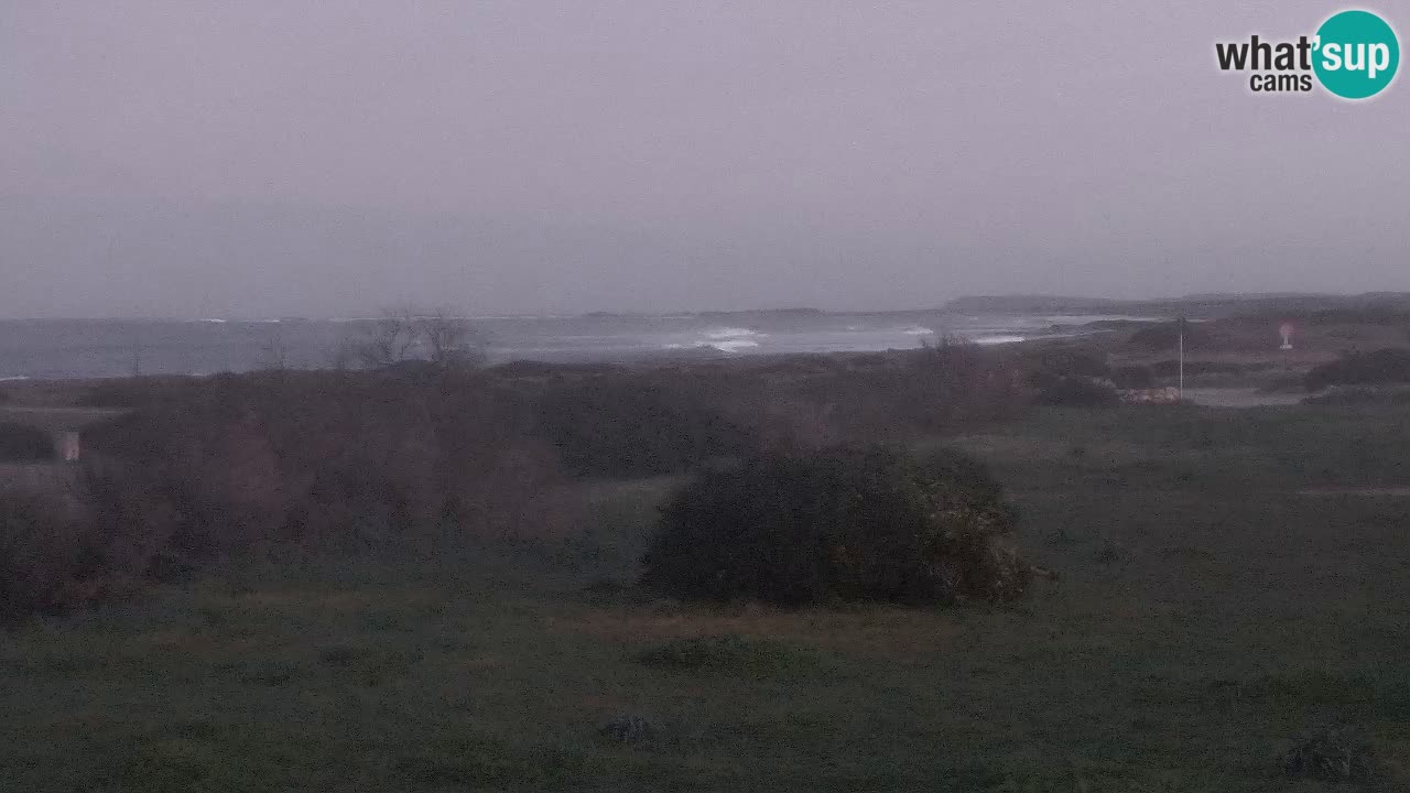 Playa Mari Ermi | Is Arutas – Oristano