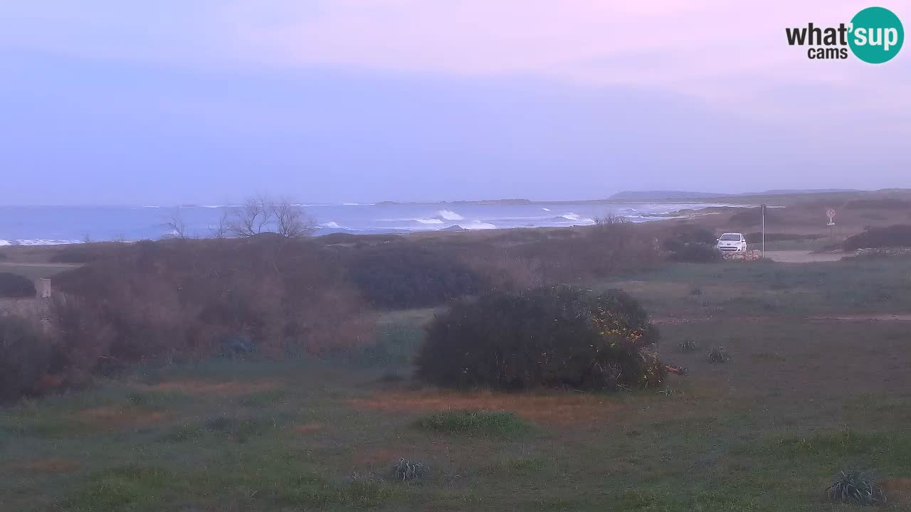 Plaža Mari Ermi | Is Arutas – Oristano