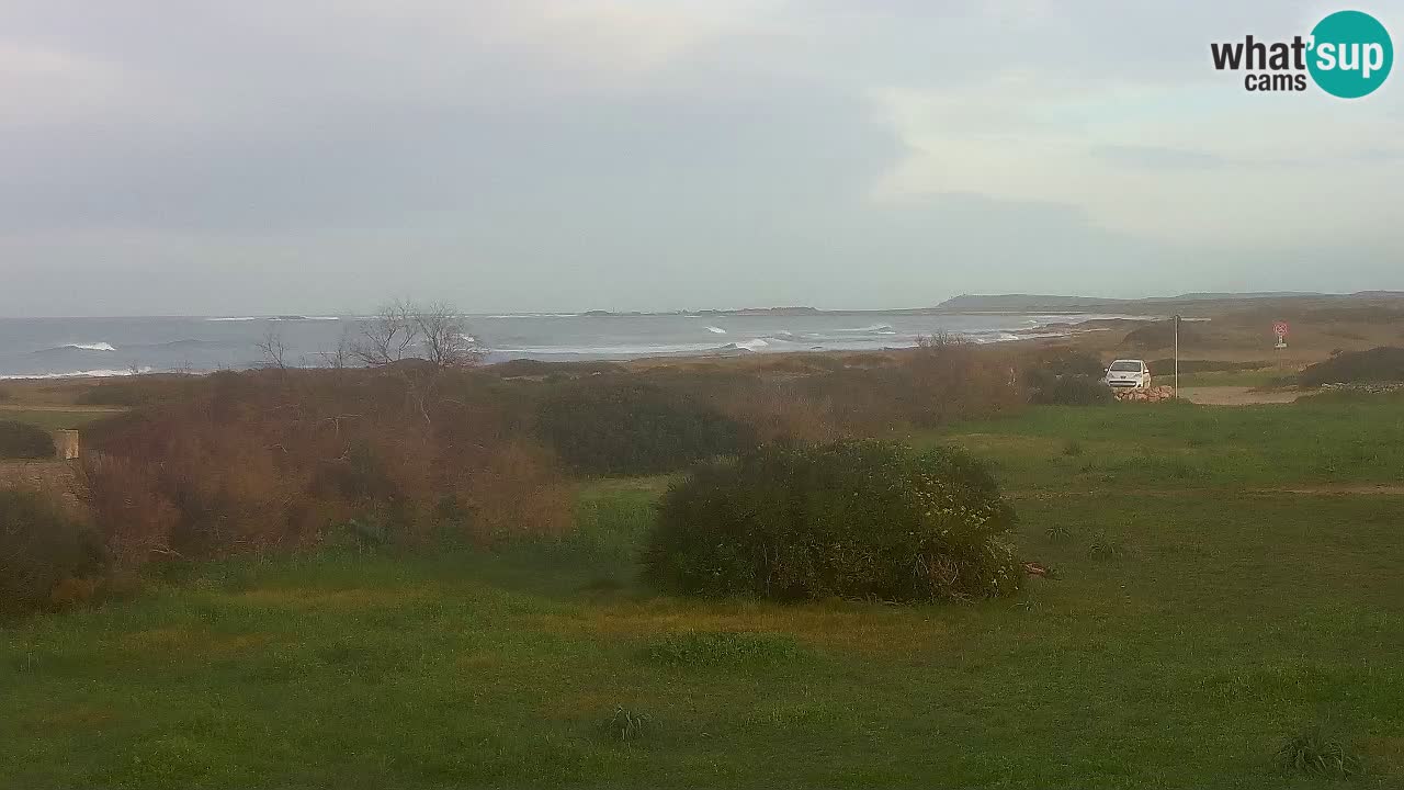 Plaža Mari Ermi | Is Arutas – Oristano