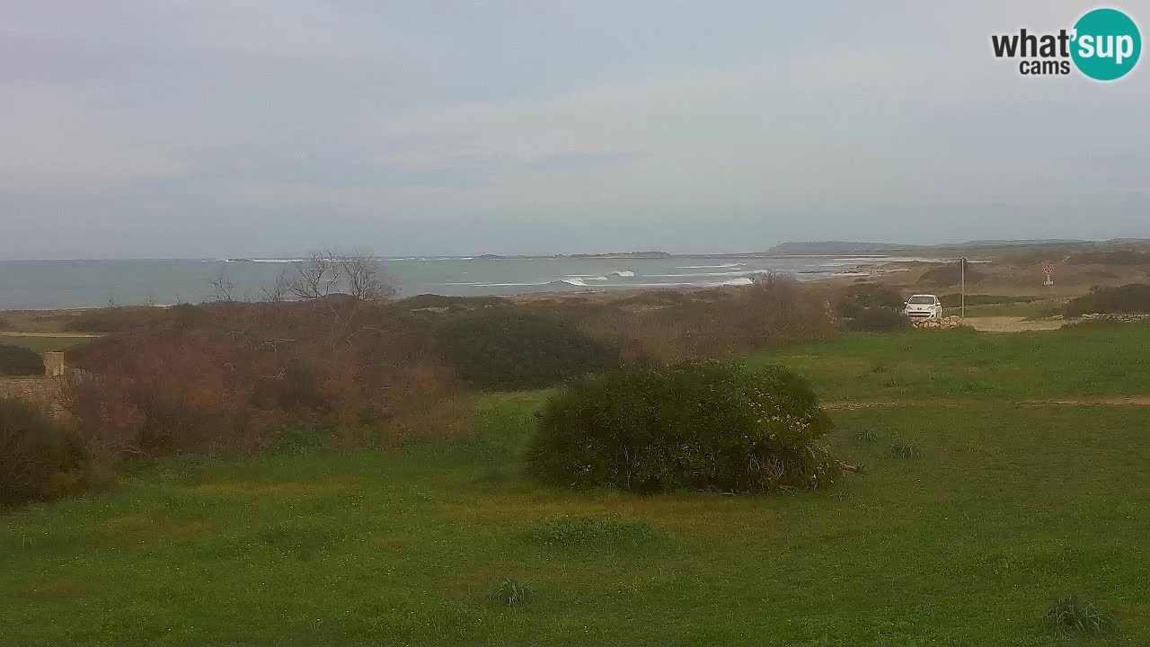 Plaža Mari Ermi | Is Arutas – Oristano