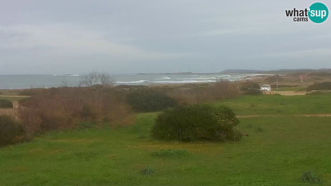 Plaža Mari Ermi | Is Arutas – Oristano