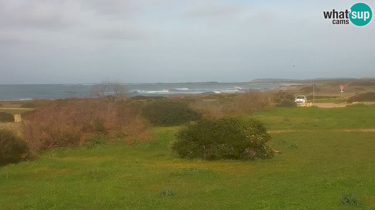 Mari Ermi Strand | Is Arutas – Oristano