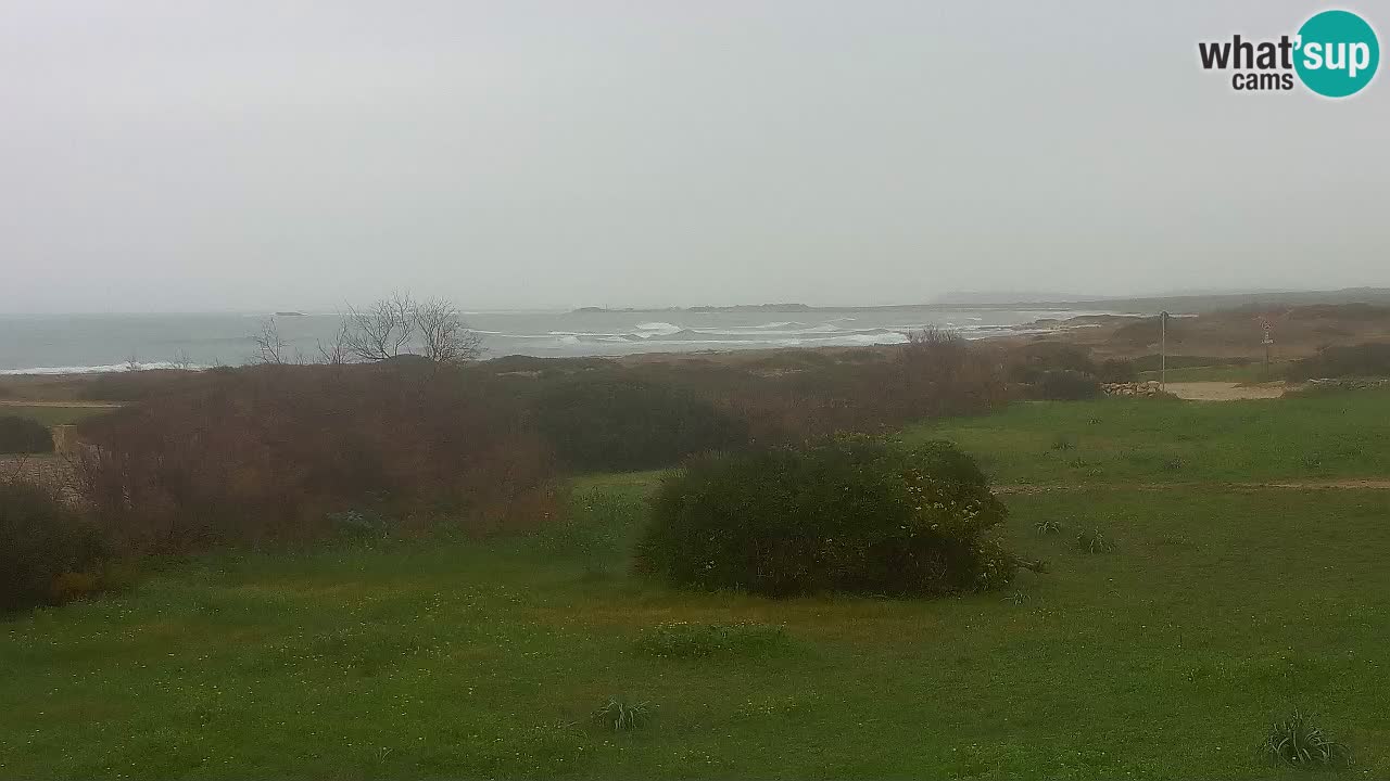 Mari Ermi Strand | Is Arutas – Oristano