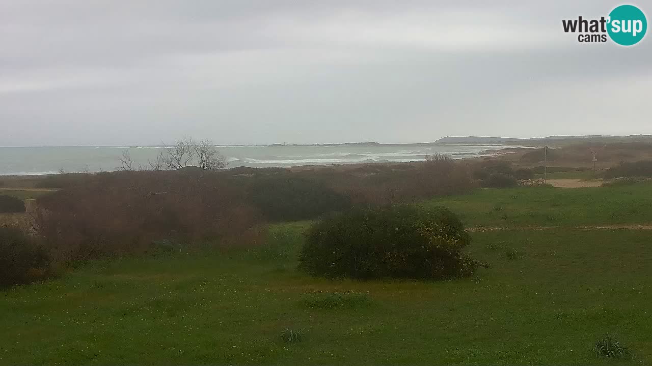 Mari Ermi Strand | Is Arutas – Oristano