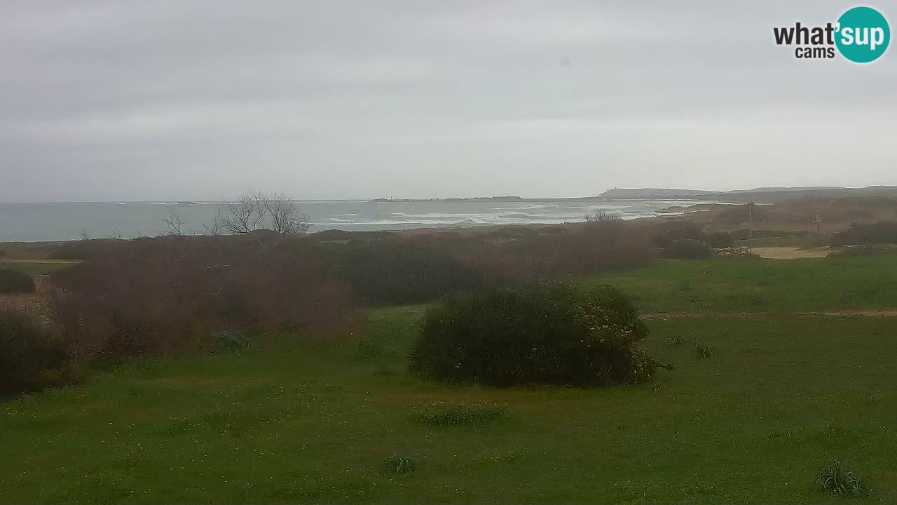 Playa Mari Ermi | Is Arutas – Oristano