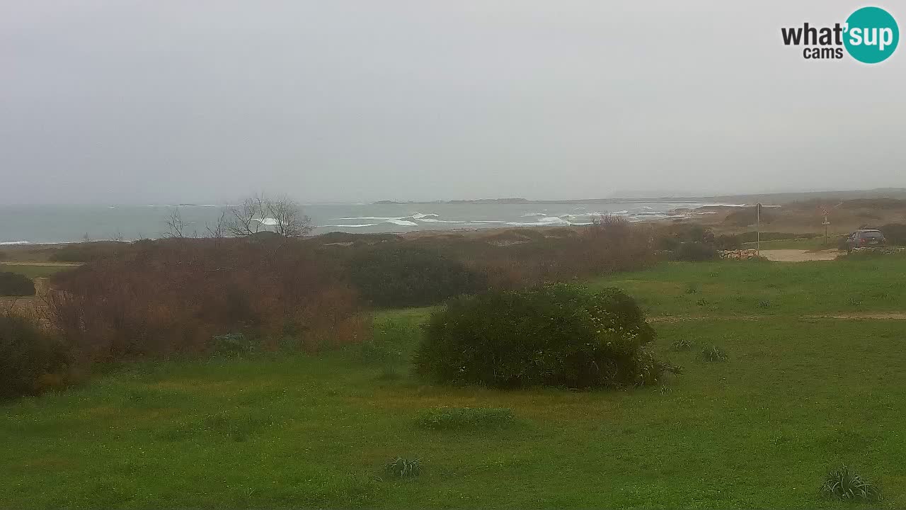 Mari Ermi Strand | Is Arutas – Oristano