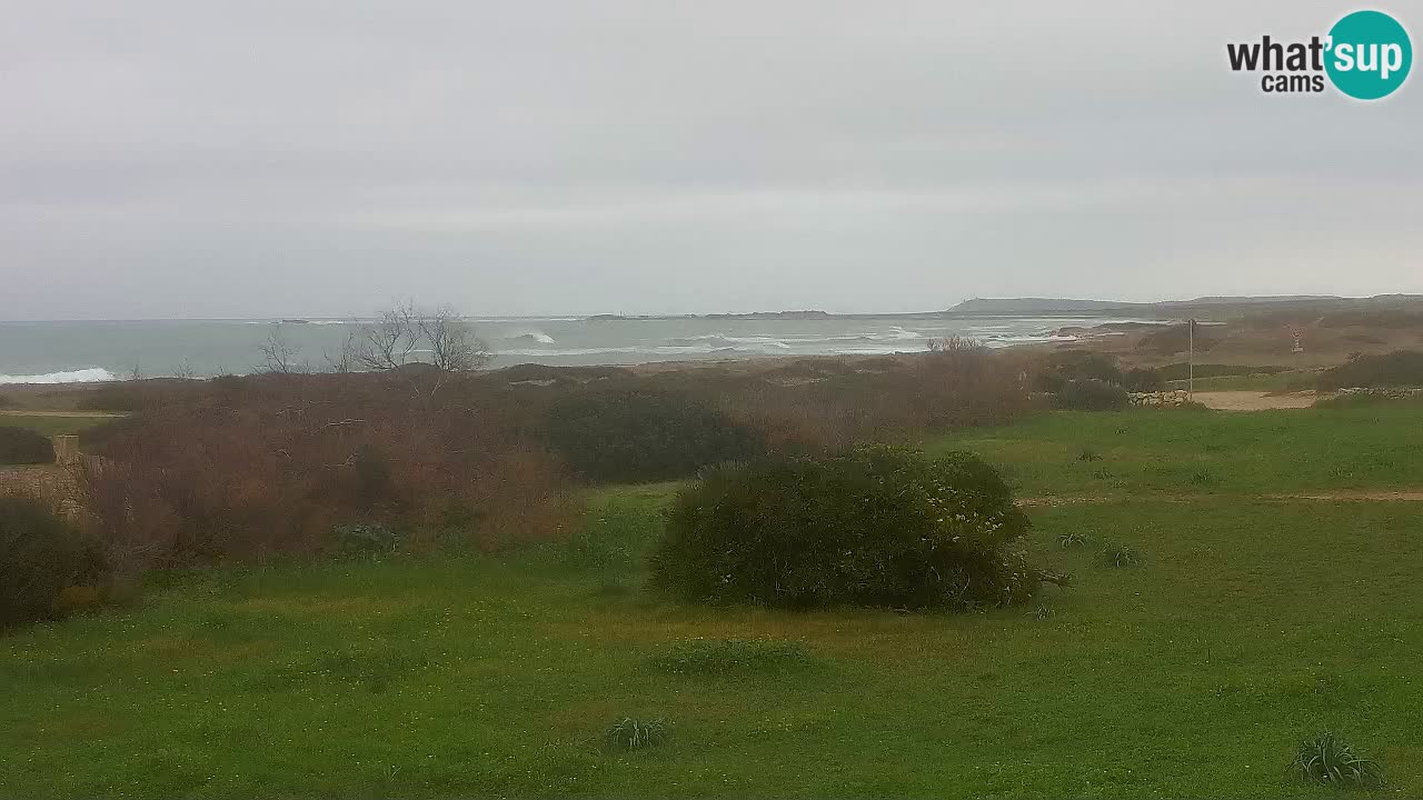 Mari Ermi beach | Is Arutas – Oristano