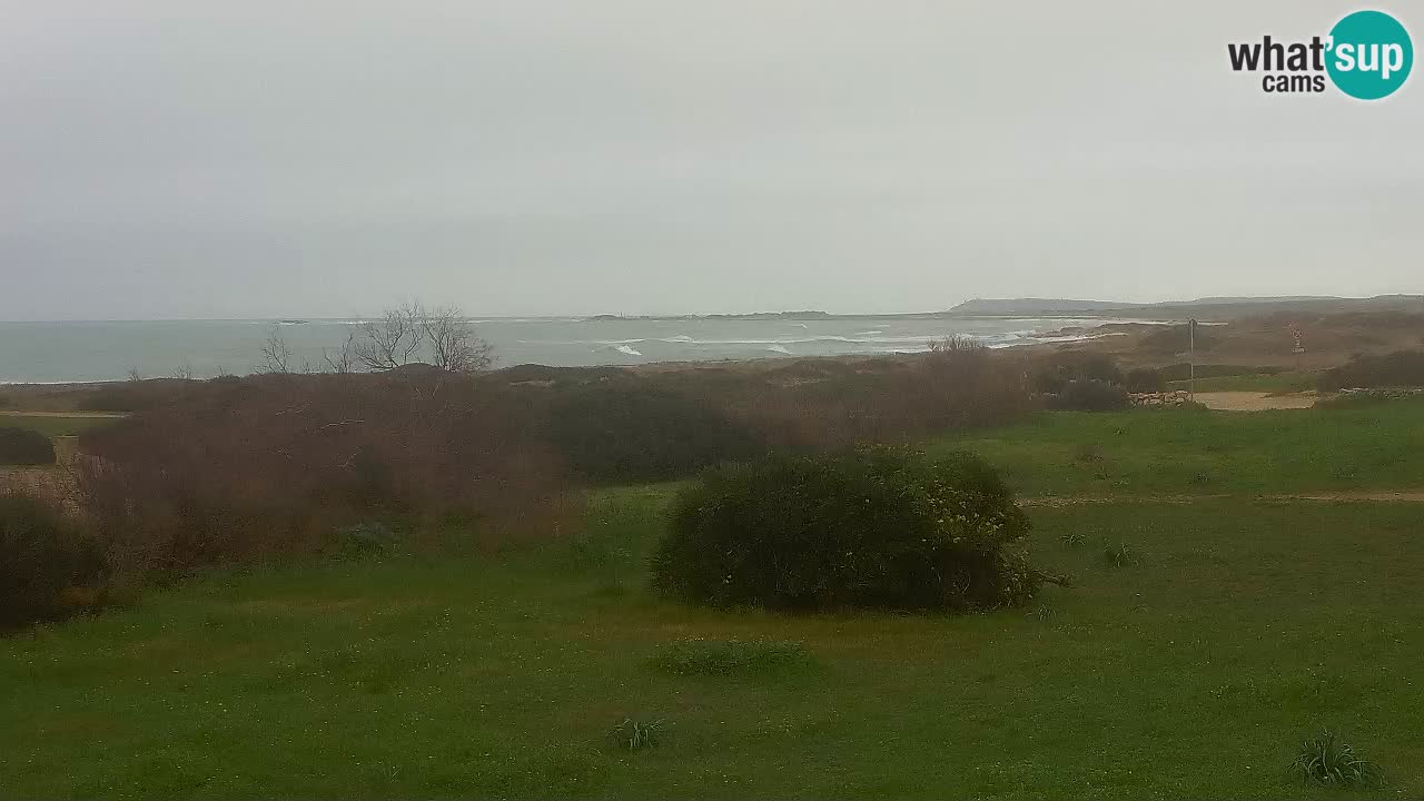 Playa Mari Ermi | Is Arutas – Oristano