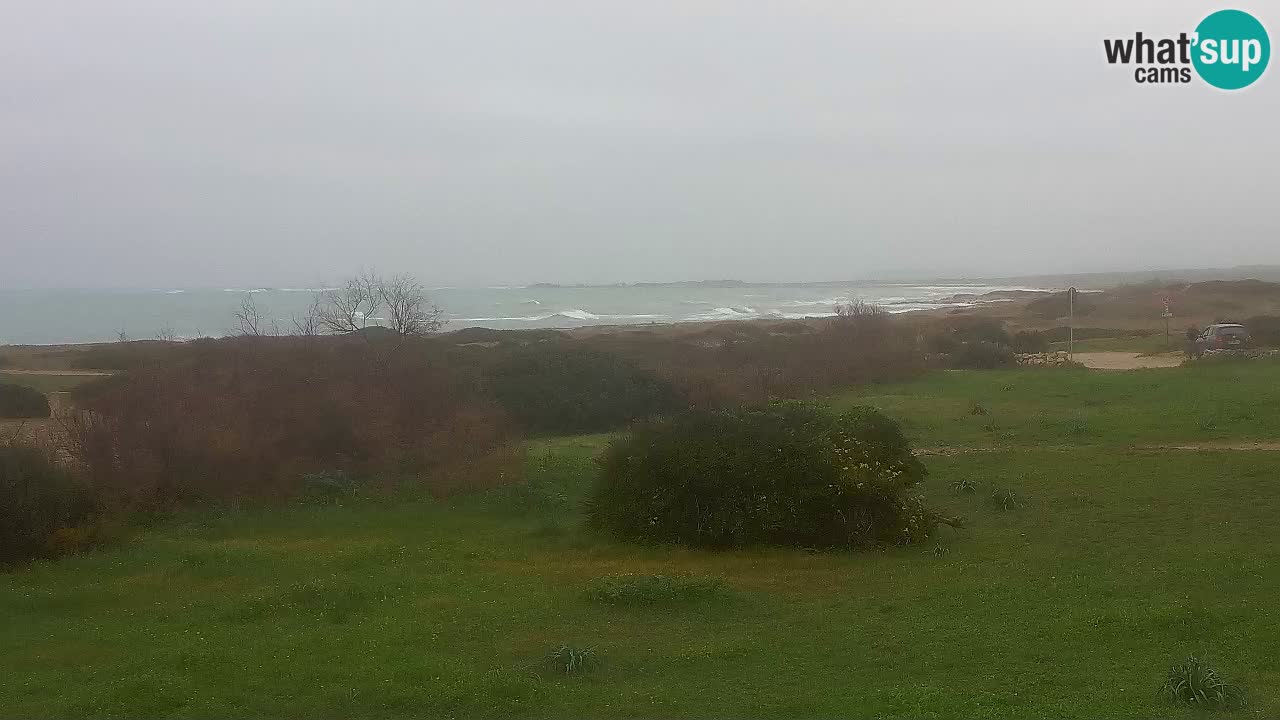 Plage Mari Ermi | Is Arutas – Oristano