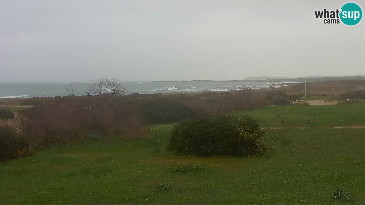 Spiaggia Mari Ermi | Is Arutas – Oristano